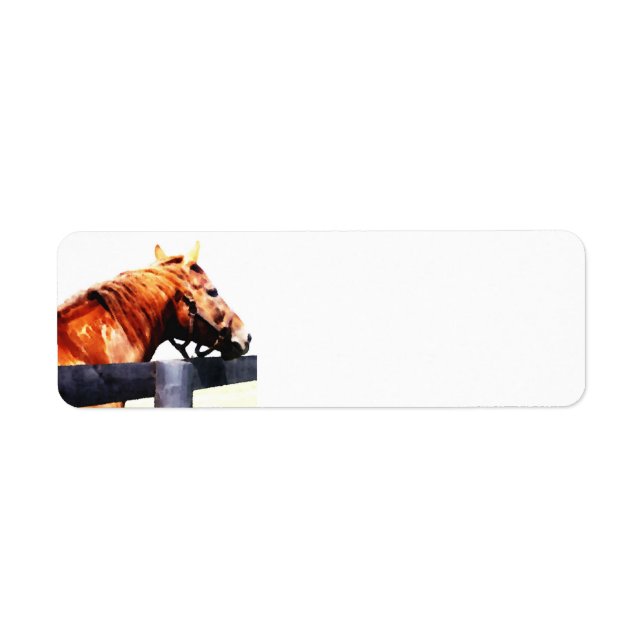 Thoroughbred horse address label (Front)