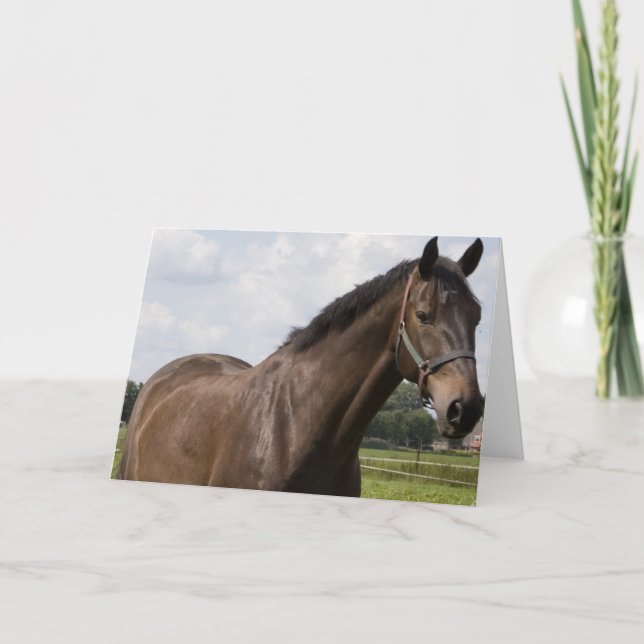 Thoroughbred Horse Card (Front)