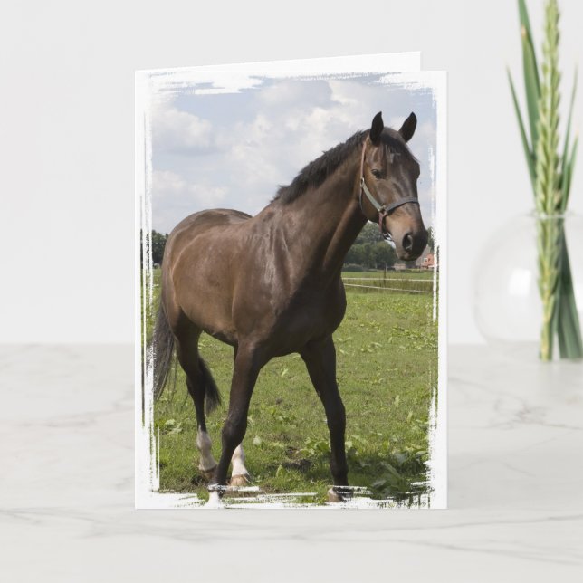 Thoroughbred Horse Card (Front)