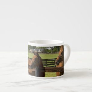 Thoroughbred horse farm in Marion County, Espresso Cup