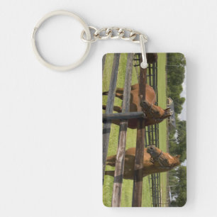 Thoroughbred horse farm in Marion County, Key Ring