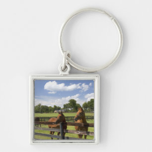 Thoroughbred horse farm in Marion County, Key Ring