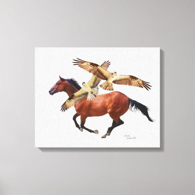 Thoroughbred Horse Hawks Canvas Print (Front)