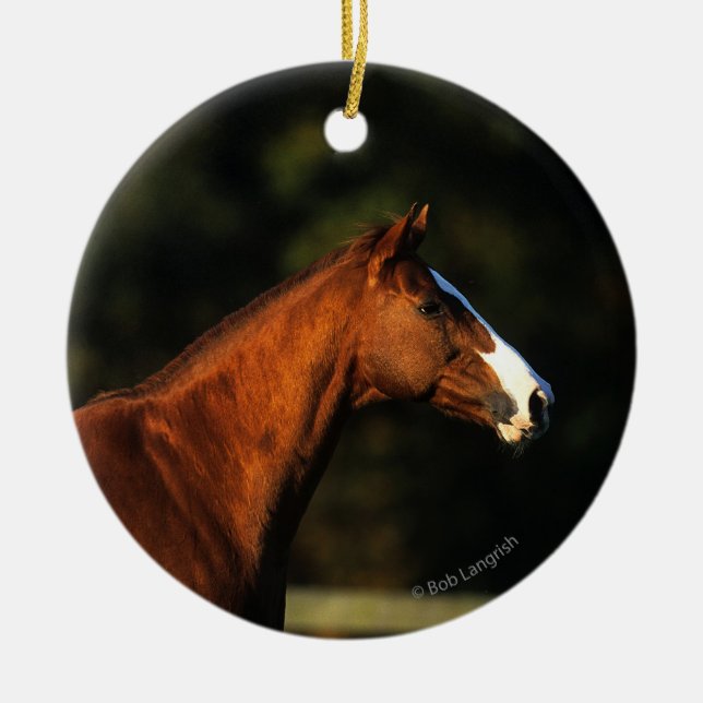 Thoroughbred Horse Headshot Ceramic Tree Decoration (Front)