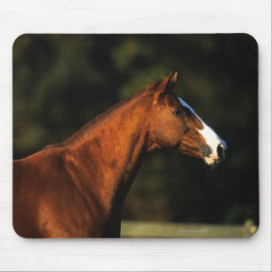 Thoroughbred Horse Headshot Mouse Mat