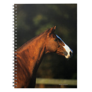 Thoroughbred Horse Headshot Notebook