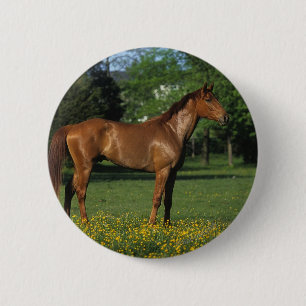 Thoroughbred Horse in Flowers 6 Cm Round Badge