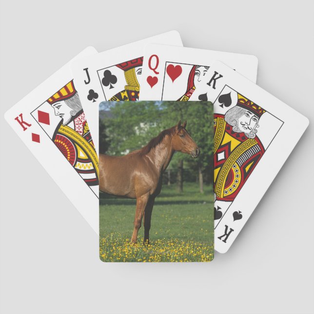 Thoroughbred Horse in Flowers Playing Cards (Back)
