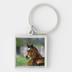 Thoroughbred Horse, Ireland Key Ring