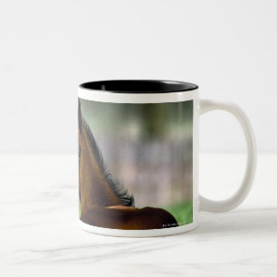 Thoroughbred Horse, Ireland Two-Tone Coffee Mug