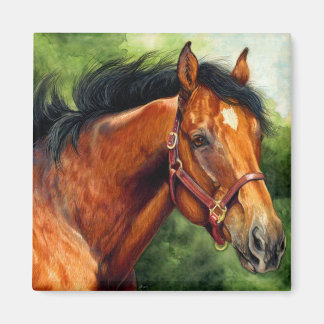 Thoroughbred Horse Magnet