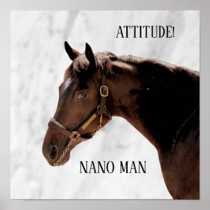 Thoroughbred Horse - Nano Man - Attitude Poster