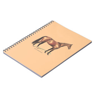 Thoroughbred Horse Notebook