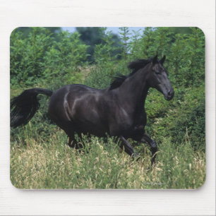 Thoroughbred Horse Running in Grass Mouse Mat