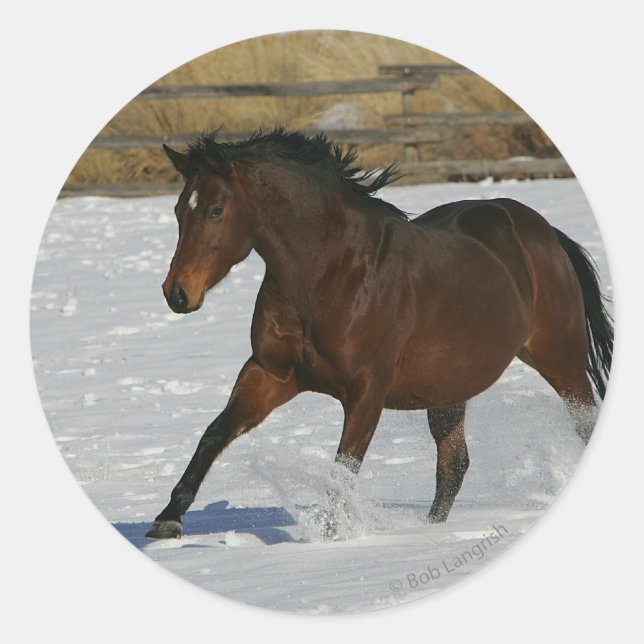 Thoroughbred Horse Running in the Snow Classic Round Sticker (Front)