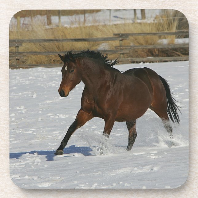 Thoroughbred Horse Running in the Snow Coaster (Front)