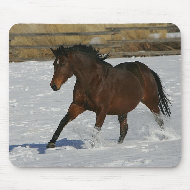 Thoroughbred Horse Running in the Snow Mouse Mat (Front)