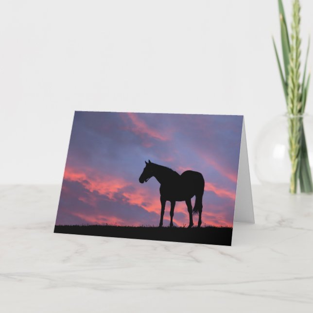 Thoroughbred Horse Silhouetted at Sunrise Card (Front)
