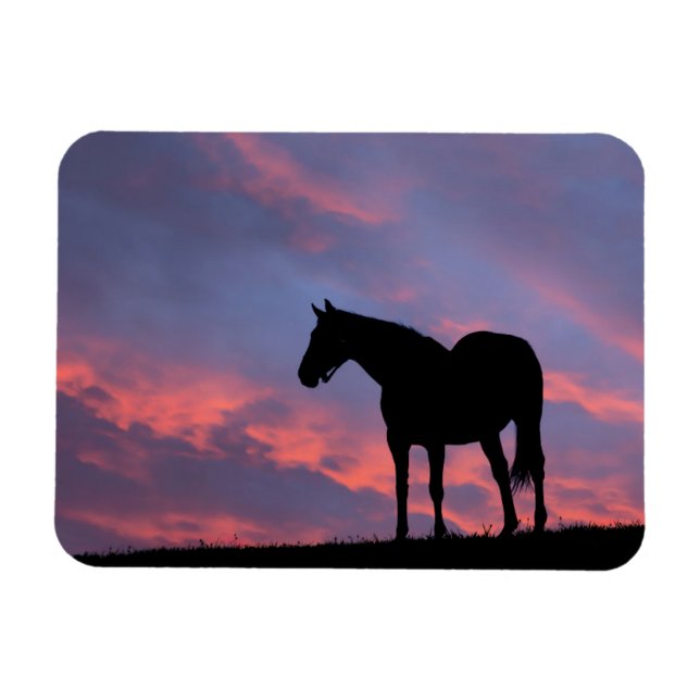 Thoroughbred Horse Silhouetted at Sunrise Magnet (Horizontal)