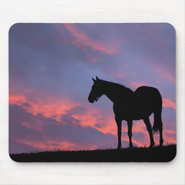 Thoroughbred Horse Silhouetted at Sunrise Mouse Mat (Front)