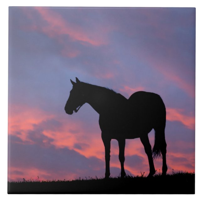 Thoroughbred Horse Silhouetted at Sunrise Tile (Front)