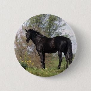 Thoroughbred Horse Standing 6 Cm Round Badge