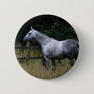 Thoroughbred Horse Standing by Fence 6 Cm Round Badge