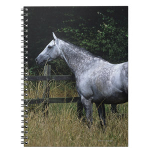 Thoroughbred Horse Standing by Fence Notebook