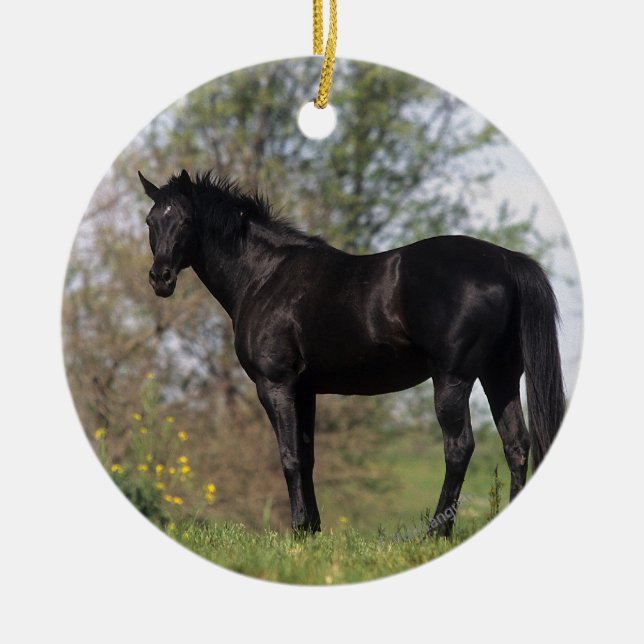 Thoroughbred Horse Standing Ceramic Tree Decoration (Front)