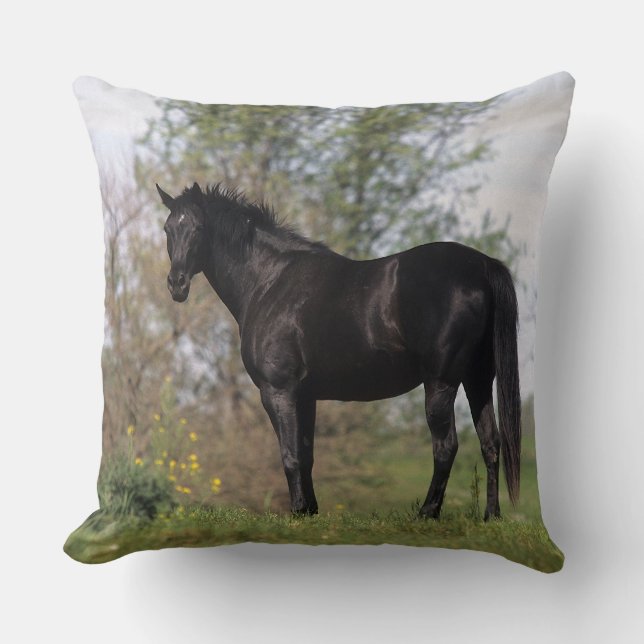 Thoroughbred Horse Standing Cushion (Front)