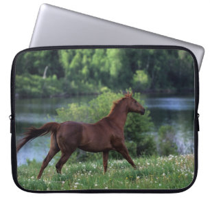 Thoroughbred Horse Standing in Flowers Laptop Sleeve