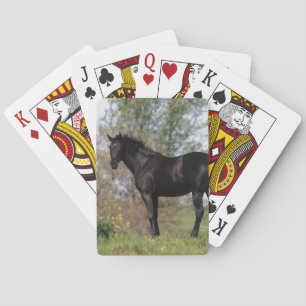 Thoroughbred Horse Standing Playing Cards