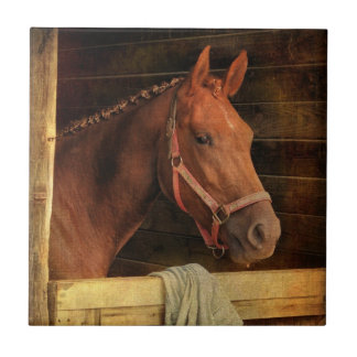 Thoroughbred Horse Tile