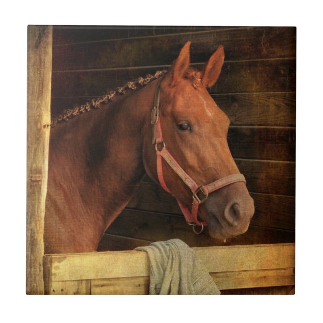 Thoroughbred Horse Tile (Front)