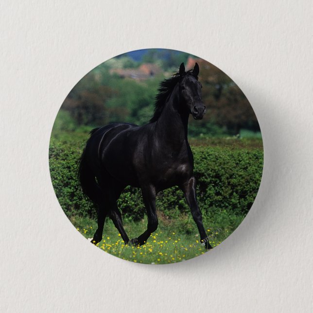Thoroughbred Horses in Flower Field 6 Cm Round Badge (Front)