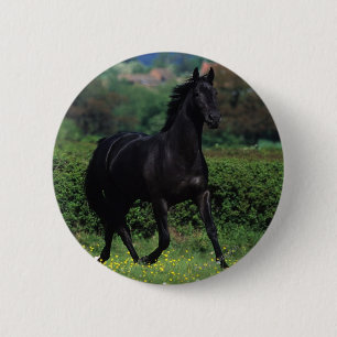 Thoroughbred Horses in Flower Field 6 Cm Round Badge