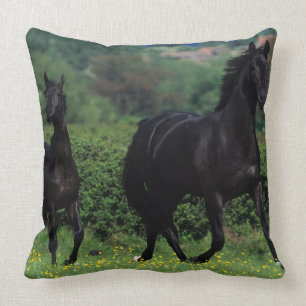 Thoroughbred Horses in Flower Field Cushion