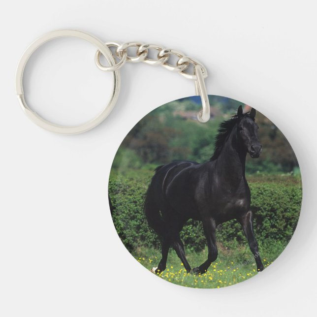 Thoroughbred Horses in Flower Field Key Ring (Front)