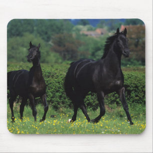 Thoroughbred Horses in Flower Field Mouse Mat