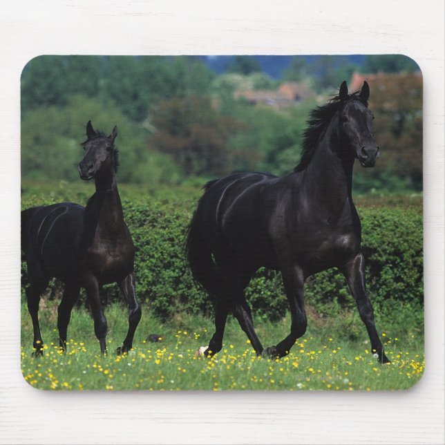 Thoroughbred Horses in Flower Field Mouse Mat (Front)