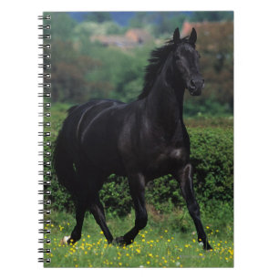 Thoroughbred Horses in Flower Field Notebook