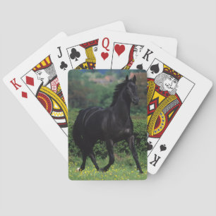 Thoroughbred Horses in Flower Field Playing Cards