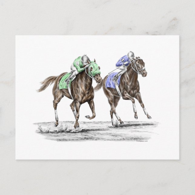 Thoroughbred Horses Racing Postcard (Front)