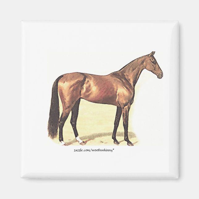 Thoroughbred Magnet (Front)