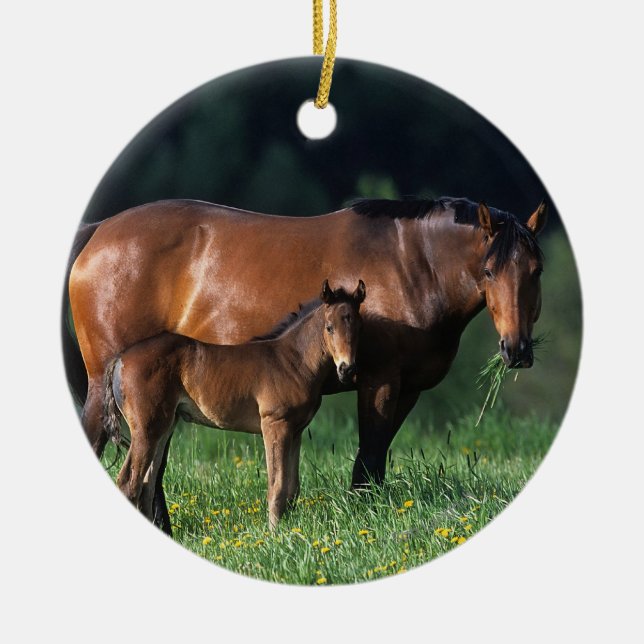 Thoroughbred Mare & Foal 1 Ceramic Tree Decoration (Front)