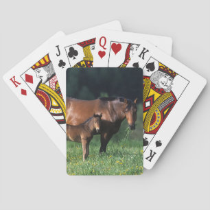 Thoroughbred Mare & Foal 1 Playing Cards