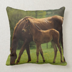 Thoroughbred Mare & Foal 2 Cushion