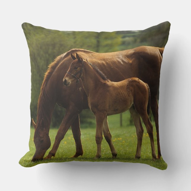Thoroughbred Mare & Foal 2 Cushion (Front)
