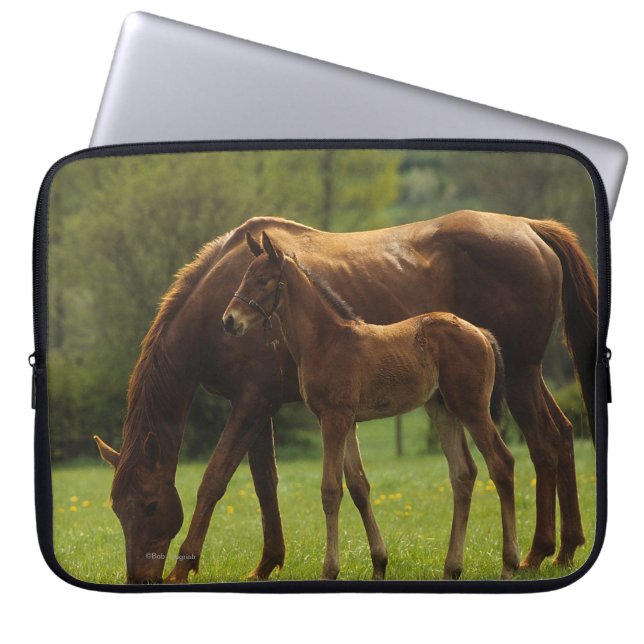 Thoroughbred Mare & Foal 2 Laptop Sleeve (Front)