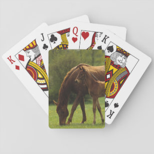 Thoroughbred Mare & Foal 2 Playing Cards